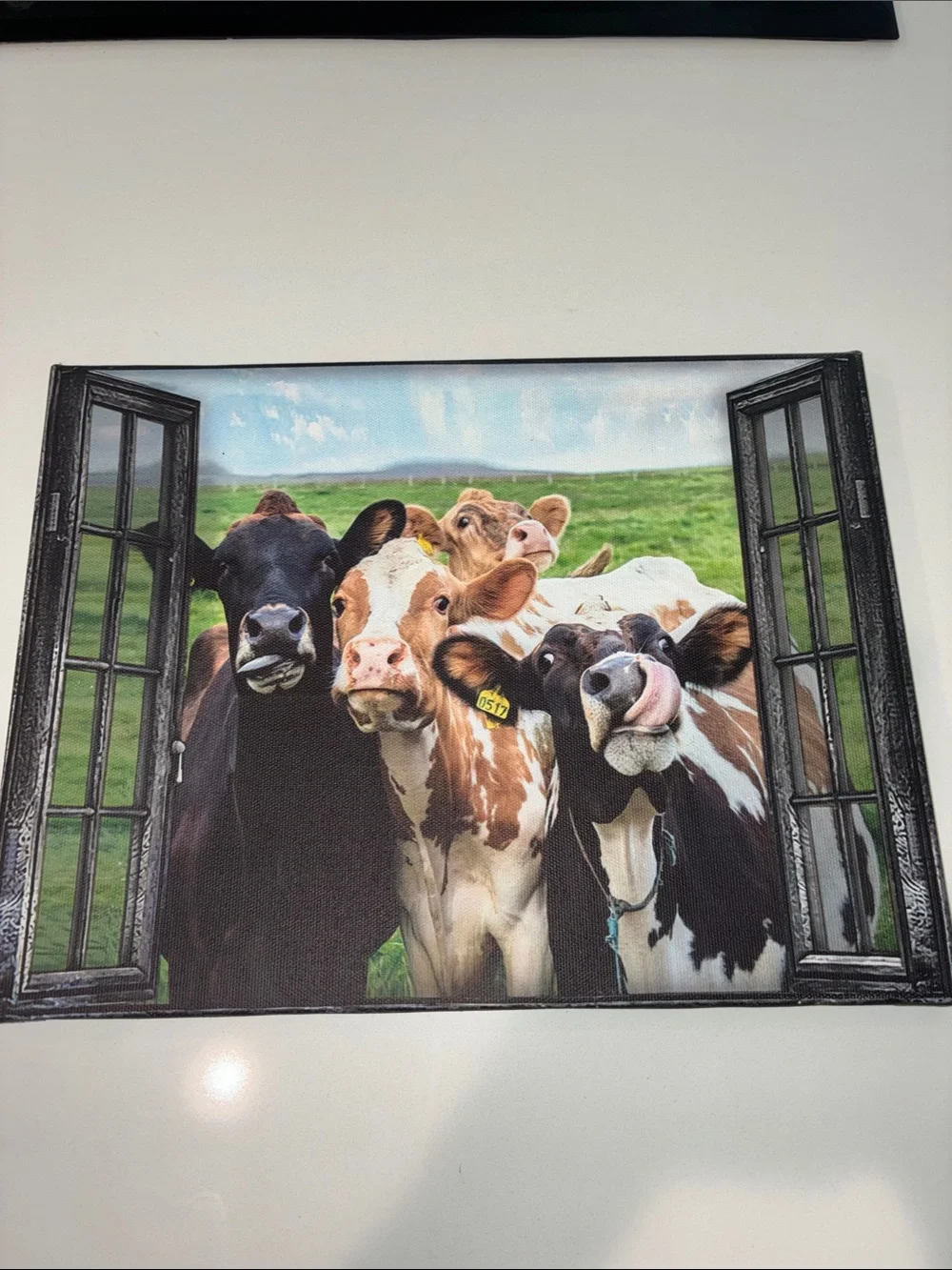 Cows (EUC) Source Unknown Canvas Wall Art - Green, Brown, Black & White Colors.